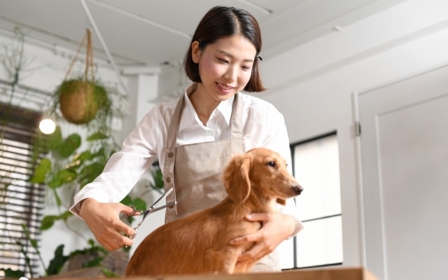 ペットタクシーで美容室へ