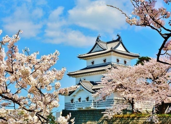 新発田城