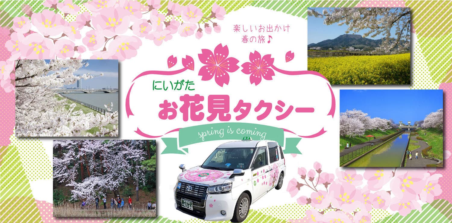 お花見タクシー