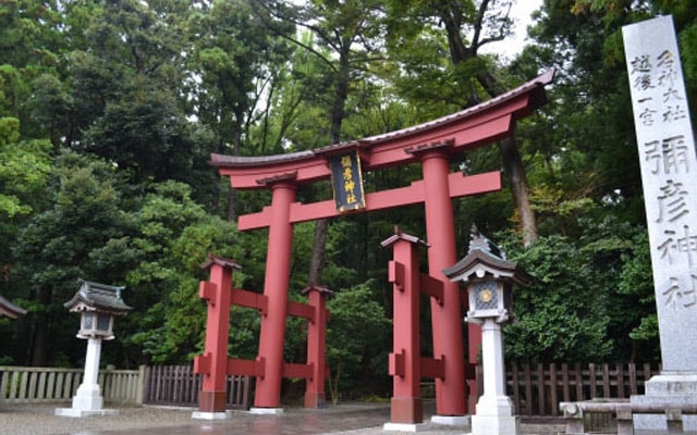 弥彦神社鳥居