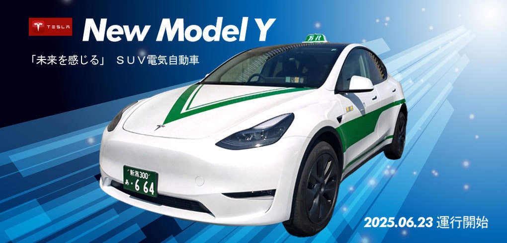 teslatop.jpg